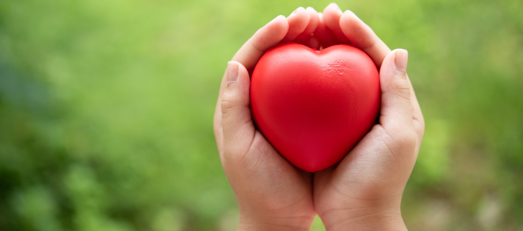 Rehearts(リハーツ) - 悩みを抱える人々が専門相談員と出会い、心の安らぎと解決のヒントを見つける人生相談プラットフォームのイメージ